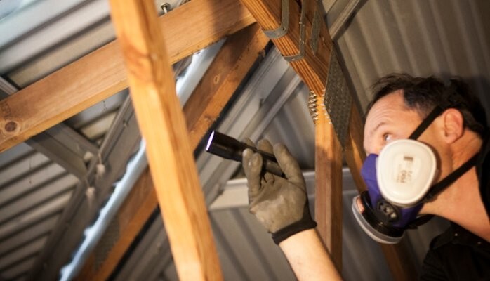 Are you at Risk of Legal Action?